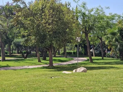 Diğer