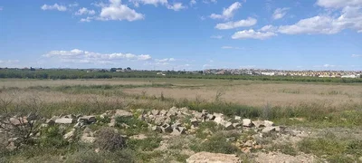 Diğer