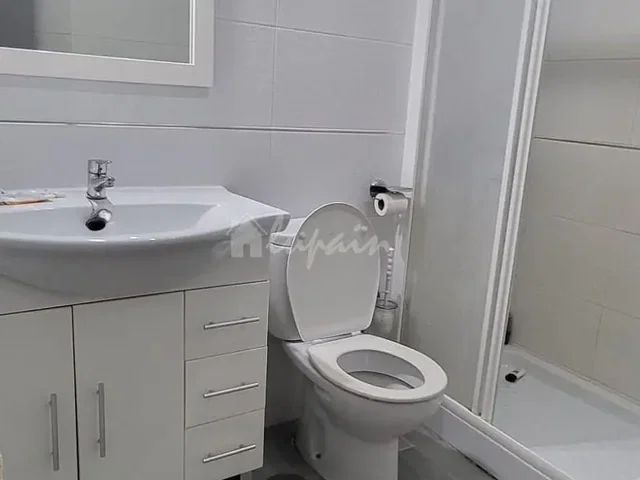 Diğer