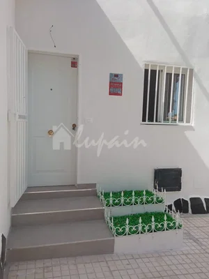 Diğer