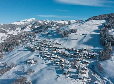 Остало