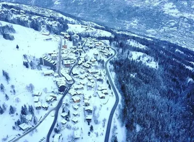 Остало