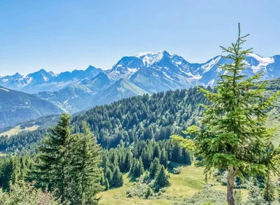 Остало