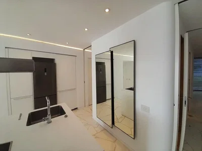Diğer