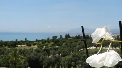 Άλλο