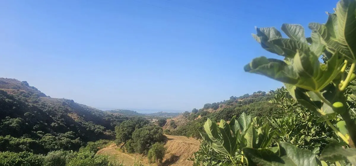 Άλλο