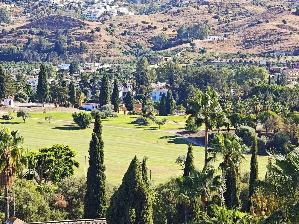 Diğer