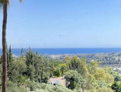 Остало