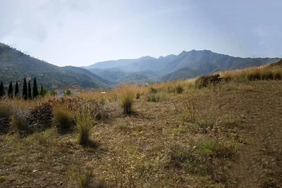 Остало