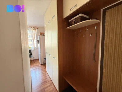 Ostatní