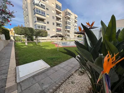 Diğer