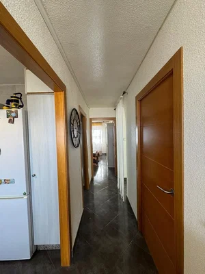 Diğer