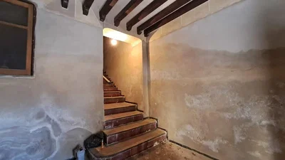 Diğer