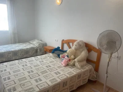 Diğer