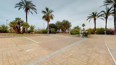 Diğer