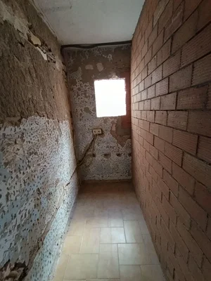 Diğer