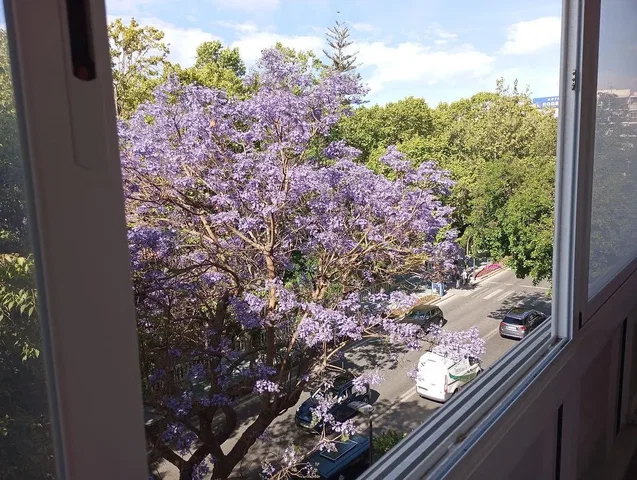 Άλλο