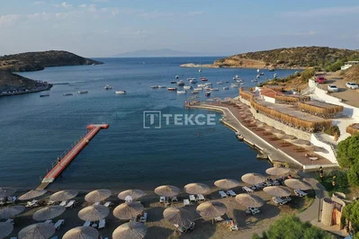 Σαλόνι