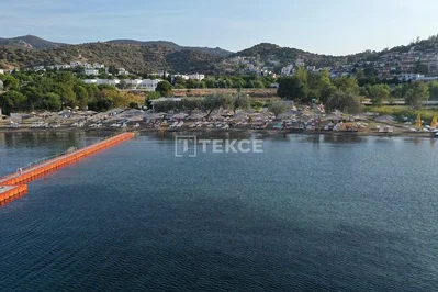 Σαλόνι