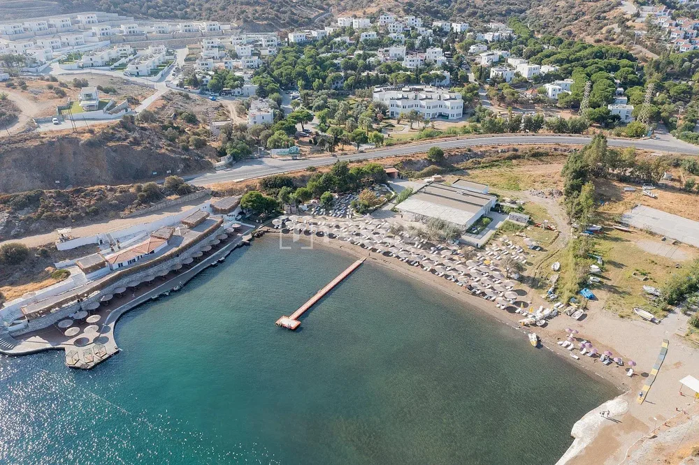Σαλόνι
