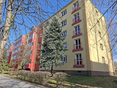 Ostatní