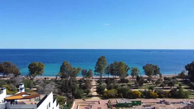 Diğer