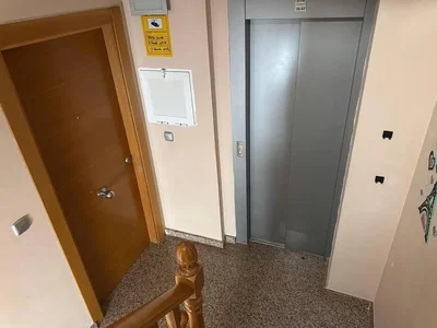 Diğer