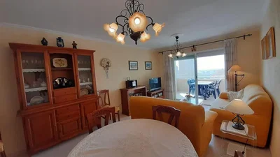 Diğer