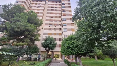 Ostatní