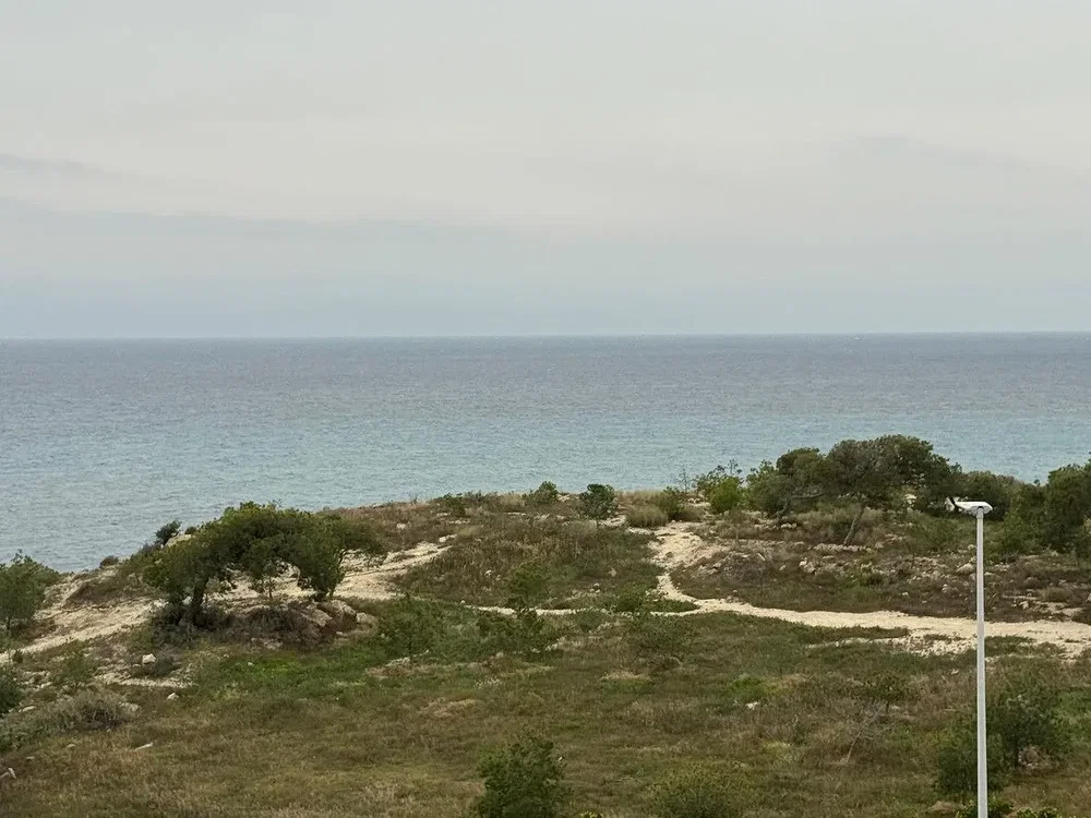Diğer