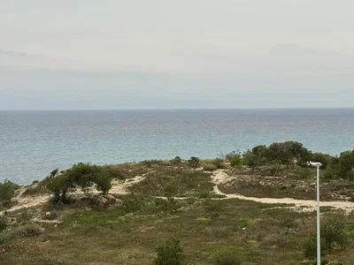 Diğer