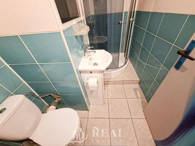 Ostatní