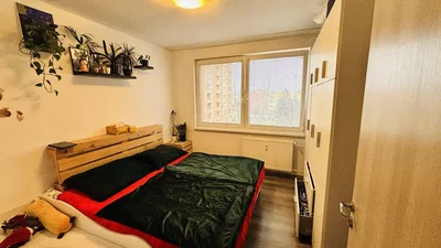 Diğer
