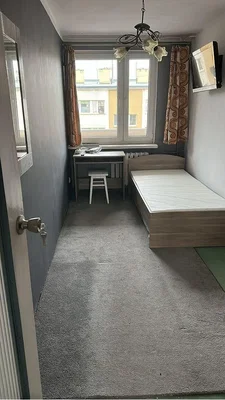 Diğer