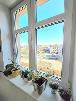 Ostatní