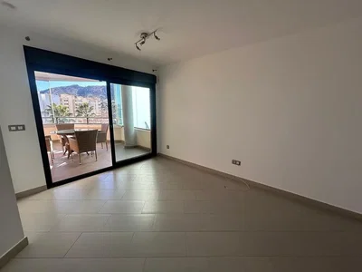 Diğer