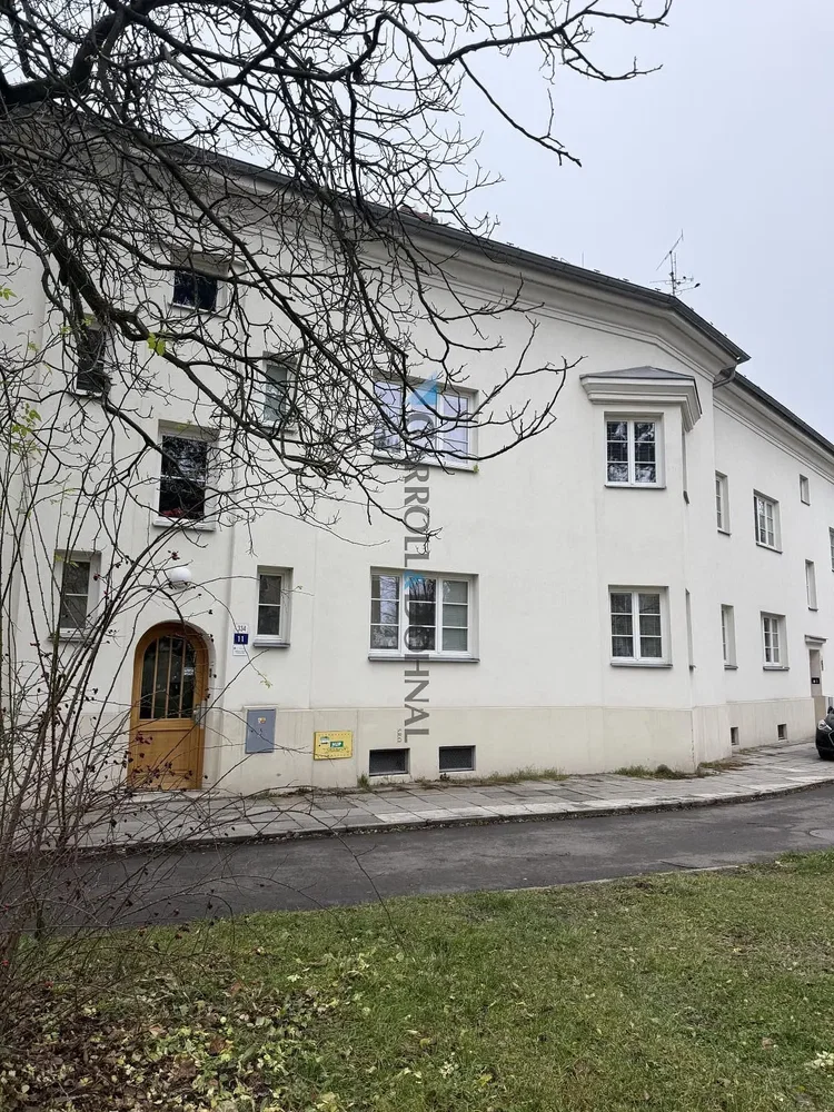 Ostatní