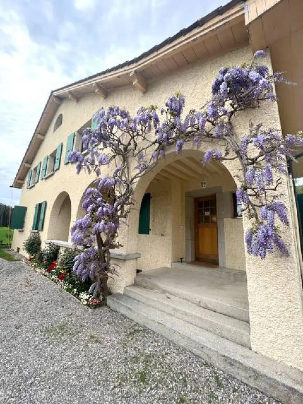 Soggiorno