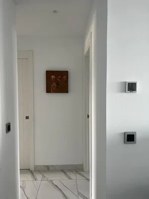Diğer