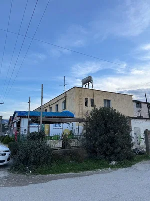 Diğer