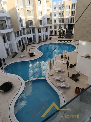 Diğer