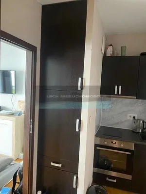 Остало