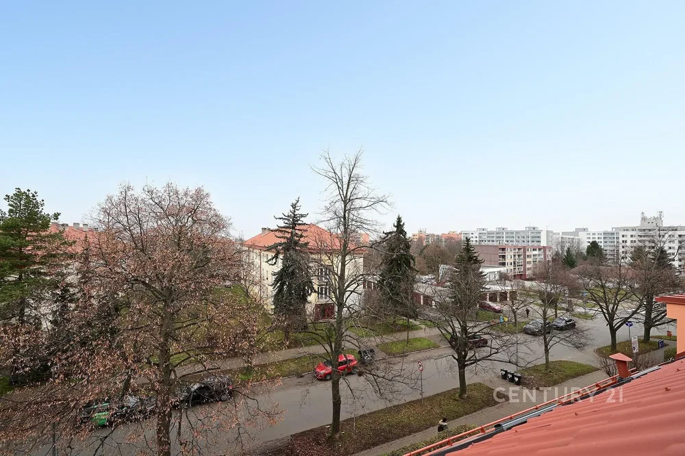 Ostatní