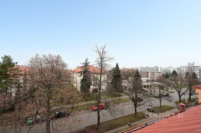 Ostatní