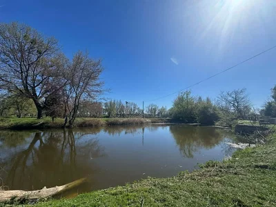 Ostatní