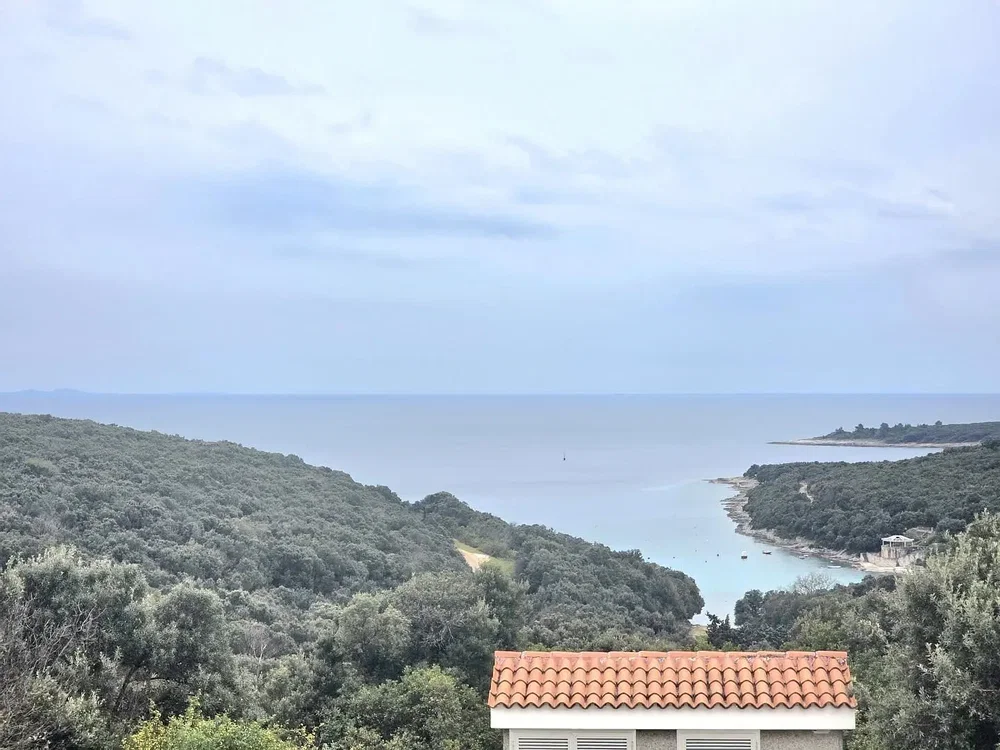 Ostatní