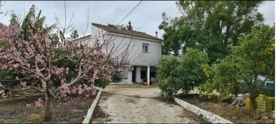 Ostatní