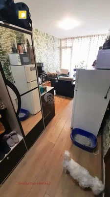 Dnevna soba