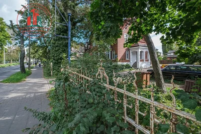 Ostatní