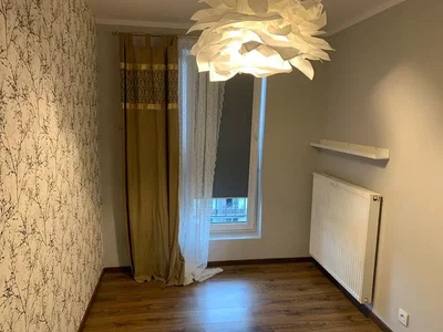 Diğer